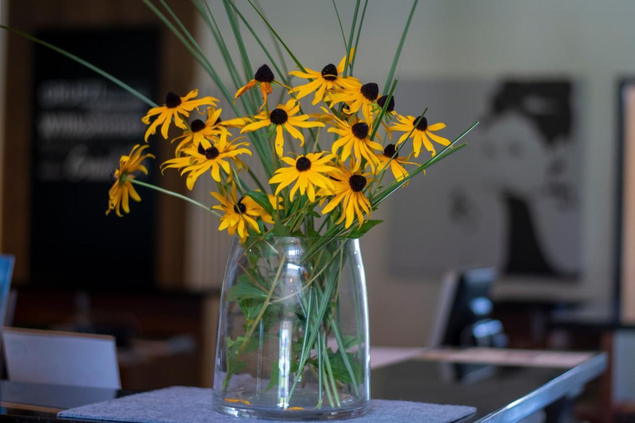 Vitalhotel Quellengarten - Bed & Breakfast Лингенау Экстерьер фото